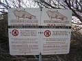 Carpinteria California 2010-02 0800